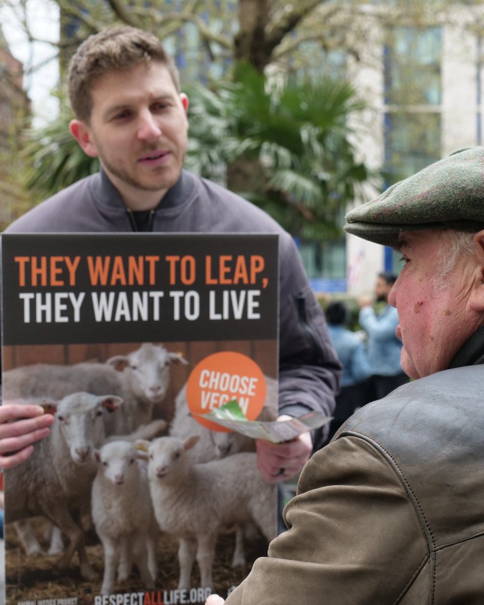 AnimalJusticeProject tweet media