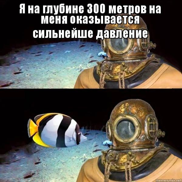 Оркестр с Твитаника tweet media