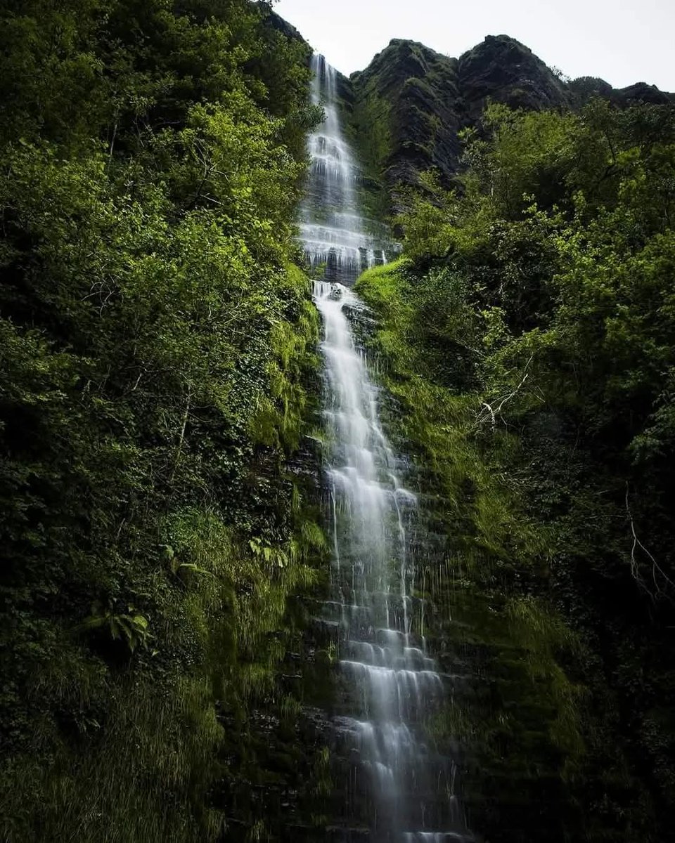 ThisIsIreland3's tweet image. 📍At 150m (492 feet) tall, Sruth In Aghaidh An Aird (or The Devils Chimney) at Glencar, Co. Sligo is Irelands highest Waterfall. It is a spectacular seasonal waterfall that appears to flow upward due to strong southerly winds 🏞️

📸 CONDOH Photography

#Sligo #Ireland #Waterfall