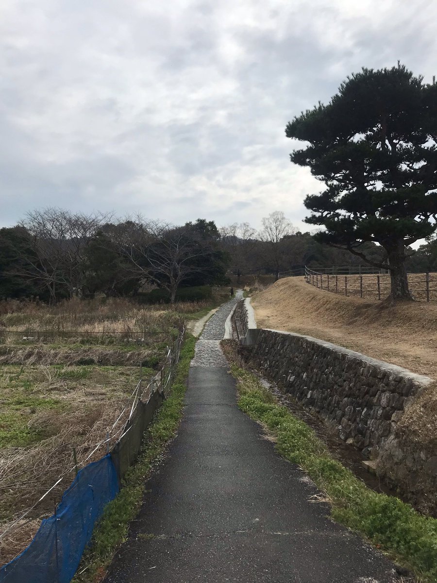 シタデル LLC tweet media