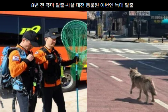 동물복지 봇 tweet media