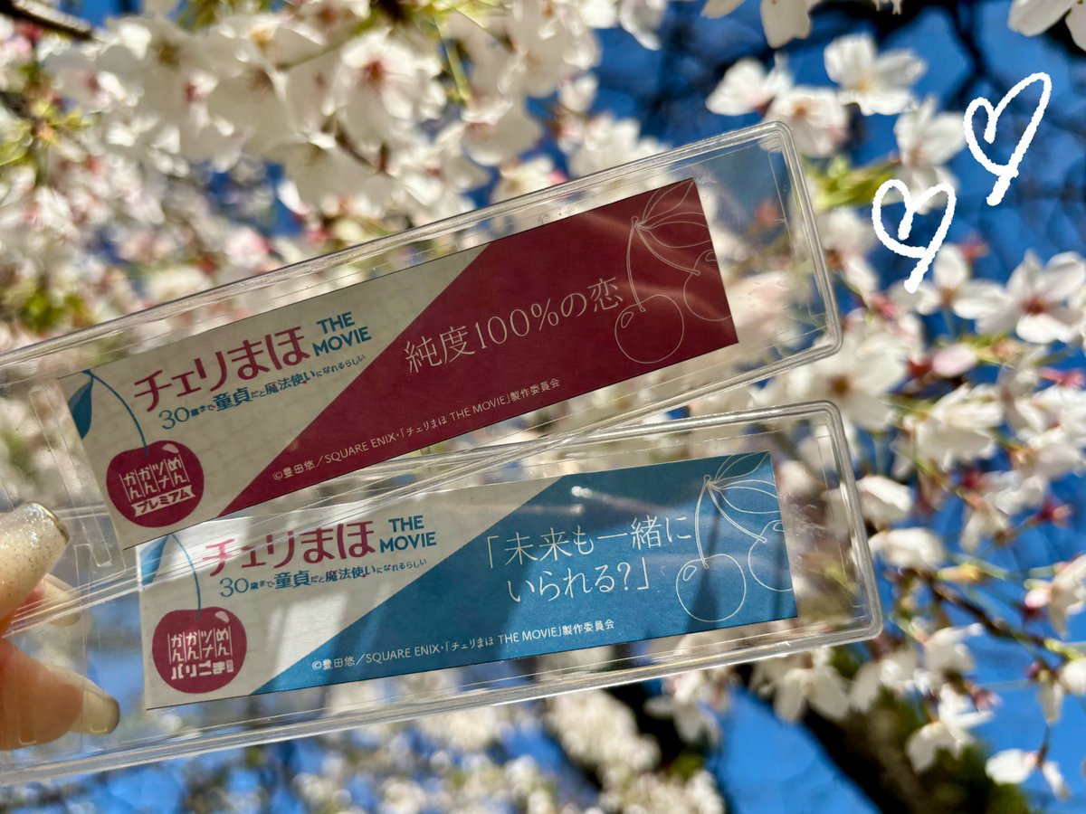 fukuya_mentai's tweet photo. チェリまほ映画公開から4年だそうです🥰
久々に当時のラベルを持ち出して桜とパシャリ🌸チェリまほ×桜ってほんと親和性高めですよね🍒✨
また何かご縁がありますように…🥺💭(N) https://t.co/gIHvdqvUhV