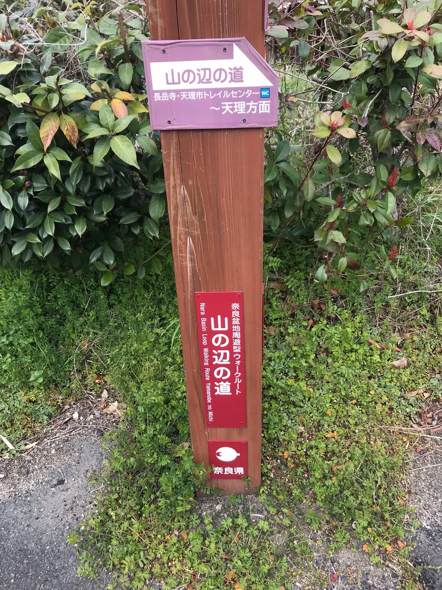 シタデル LLC tweet media