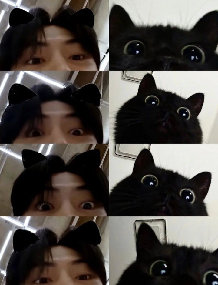 LUCKY Ling || JAYpril 🎈 tweet media