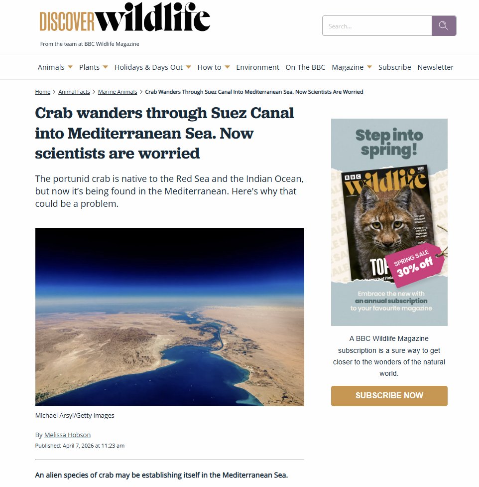 Pensoft's tweet image. 🎉Research published in Acta Ichthyologica et Piscatoria (@Acta_Ichthyol) is making waves beyond #academia   

📰@WildlifeMag by Melissa Hobson: discoverwildlife.com/animal-facts/m…

📰National Geographic Poland by Jonasz Przybył: national-geographic.pl/przyroda/nowy-…

#marinebiology #invasive