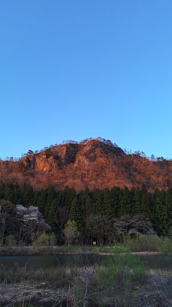 クマー tweet media