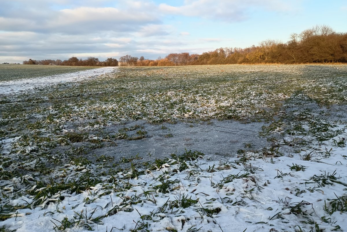 IMGW-PIB METEO POLSKA tweet media