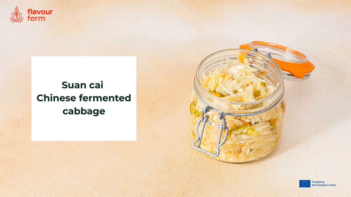 FlavourFerm's tweet photo. Suan cai — Chinese fermented cabbage — is the tangy heart of hotpots and soups. Probiotic, preserved, and full of umami. 🥬 #SuanCai #FermentedFoods #ChineseCuisine https://t.co/yE7T7Z7TBR