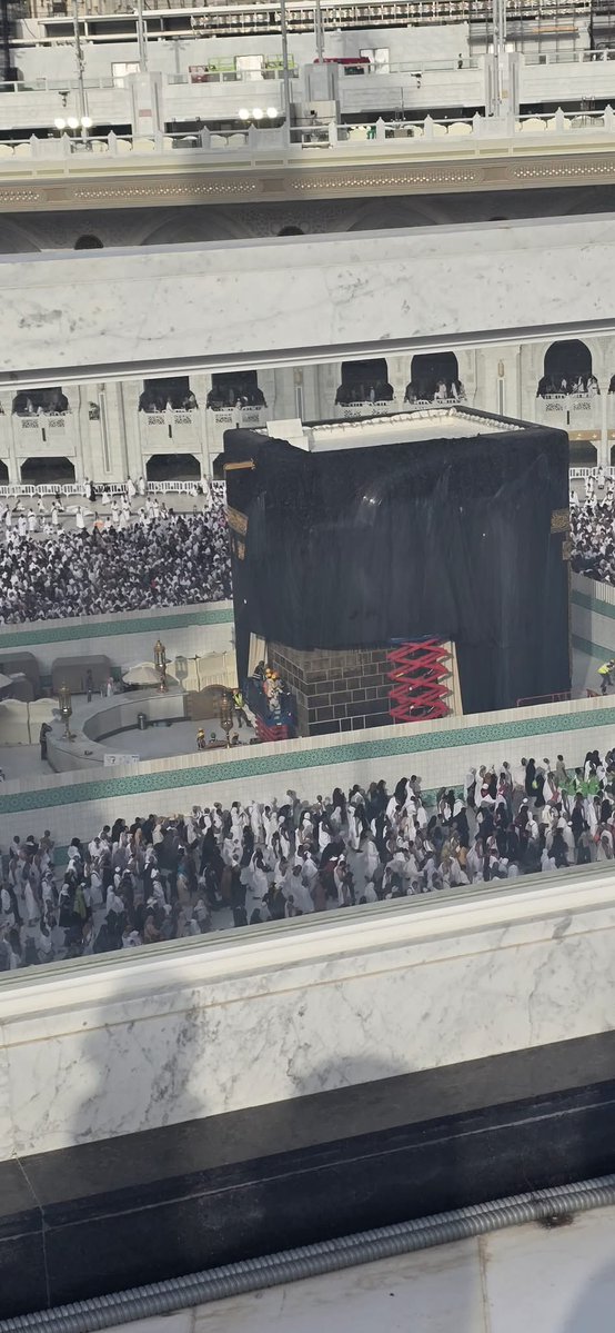 رابطة المغتربين المصريين©️ tweet media