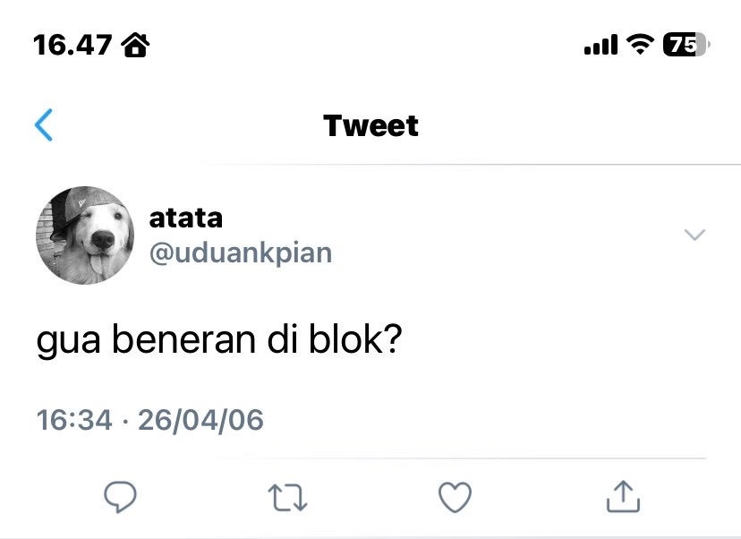 napnape🥥 tweet media