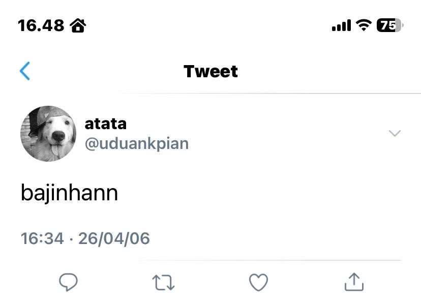 napnape🥥 tweet media