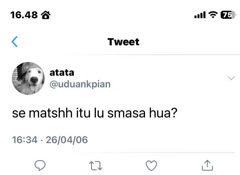 napnape🥥 tweet media