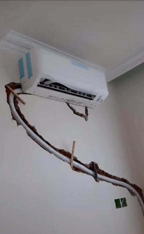 Jane 🌟💫 tweet media