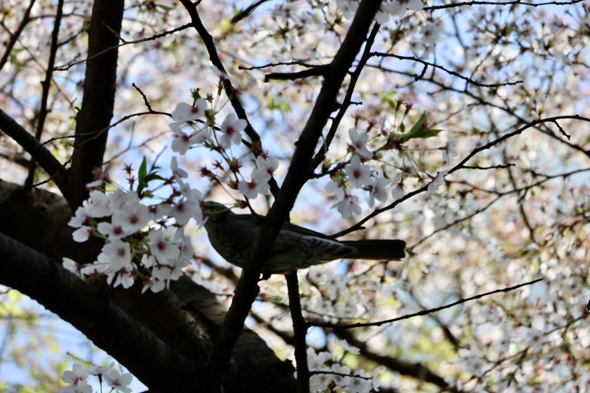 미틈달 초닷새🌱 tweet media