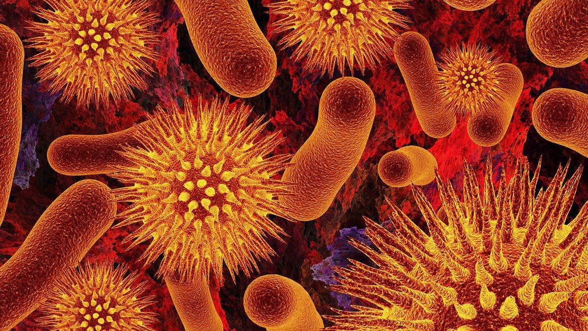 KentSGodfrey's tweet photo. Tone, rhythm, melody, and harmony exist everywhere in nature, including bacteria. Because man has experienced tone, rhythm, melody, and harmony for millennia, he uses these to form the concept "music."  🎶  #MusicInNature #MultisensoryMusic  #VisualMusic #Musicology https://t.co/Asnd95uR9w
