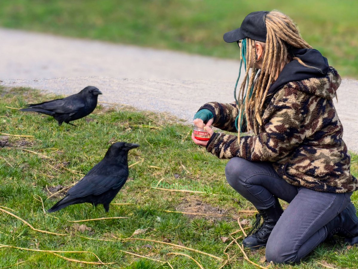 наде́жда 🐦‍⬛п и ч у ж к а tweet media