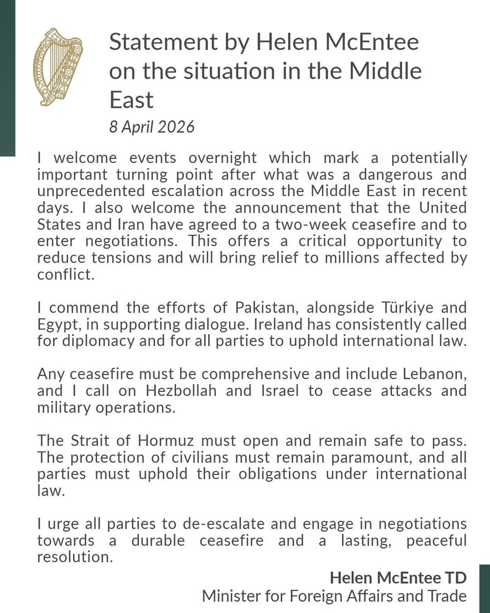 Helen McEntee TD tweet media