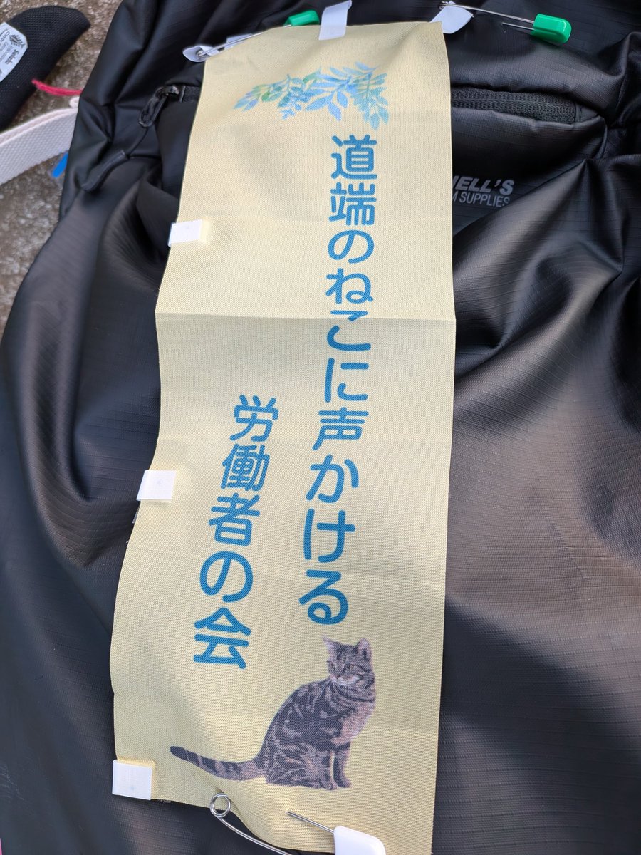 のち_노치 료코 tweet media