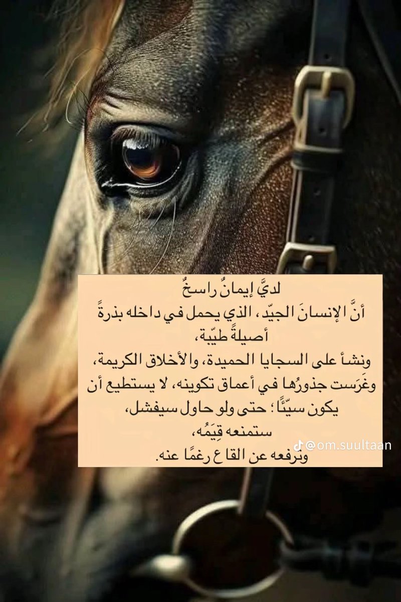 بدر نايف العطاوي 🇸🇦 tweet media