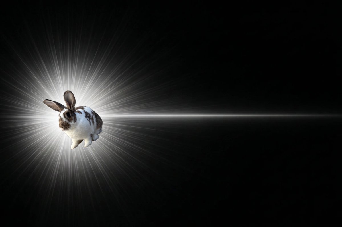 GW雨乞い部 (@cheekyvice) on Twitter photo 