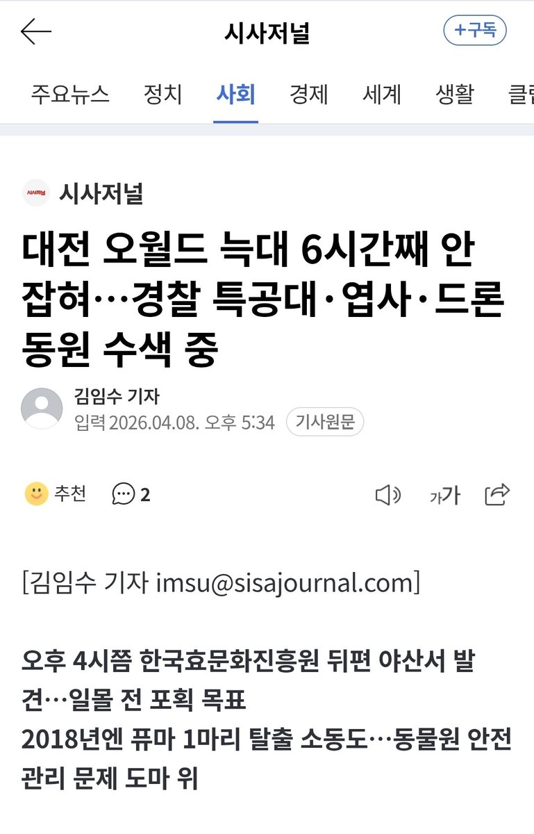 아이나 tweet media