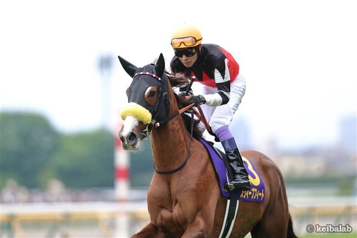競馬ラボ tweet media