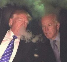 Joe Hector tweet media