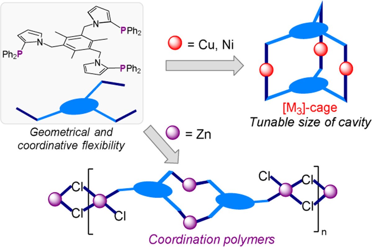 Shaoguang Zhang tweet media