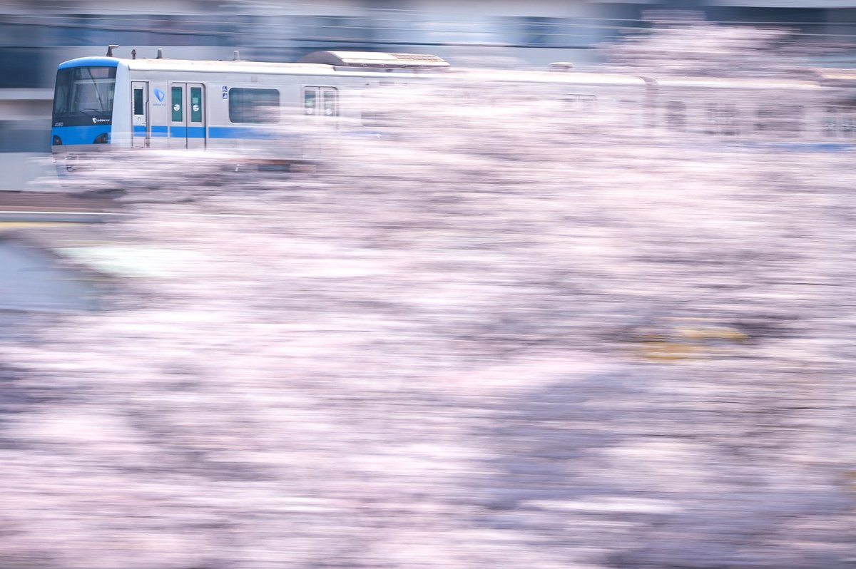 「小田急 桜 2026」