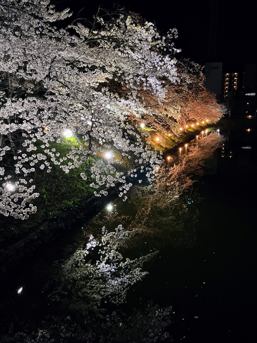 長野県松本市(公式) tweet media