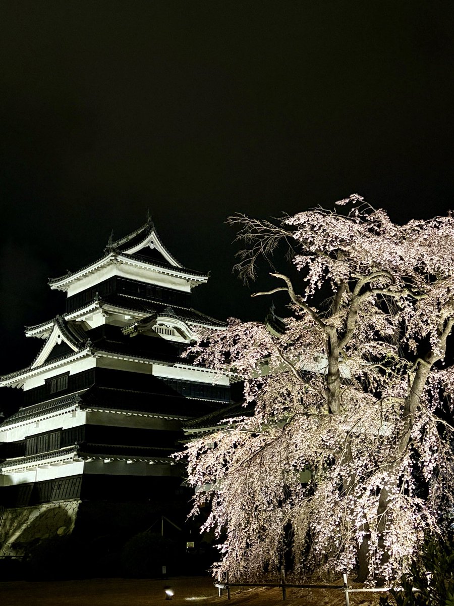 長野県松本市(公式) tweet media