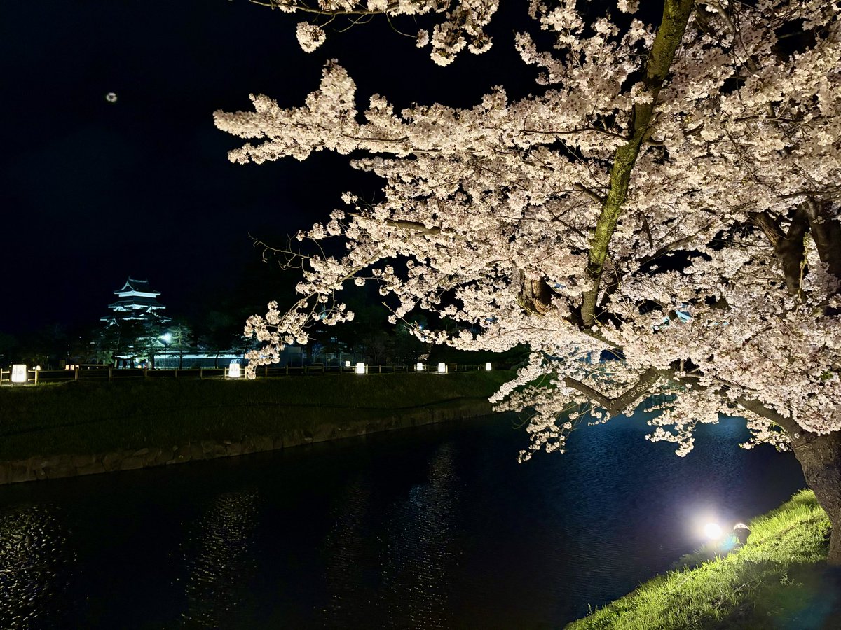 長野県松本市(公式) tweet media