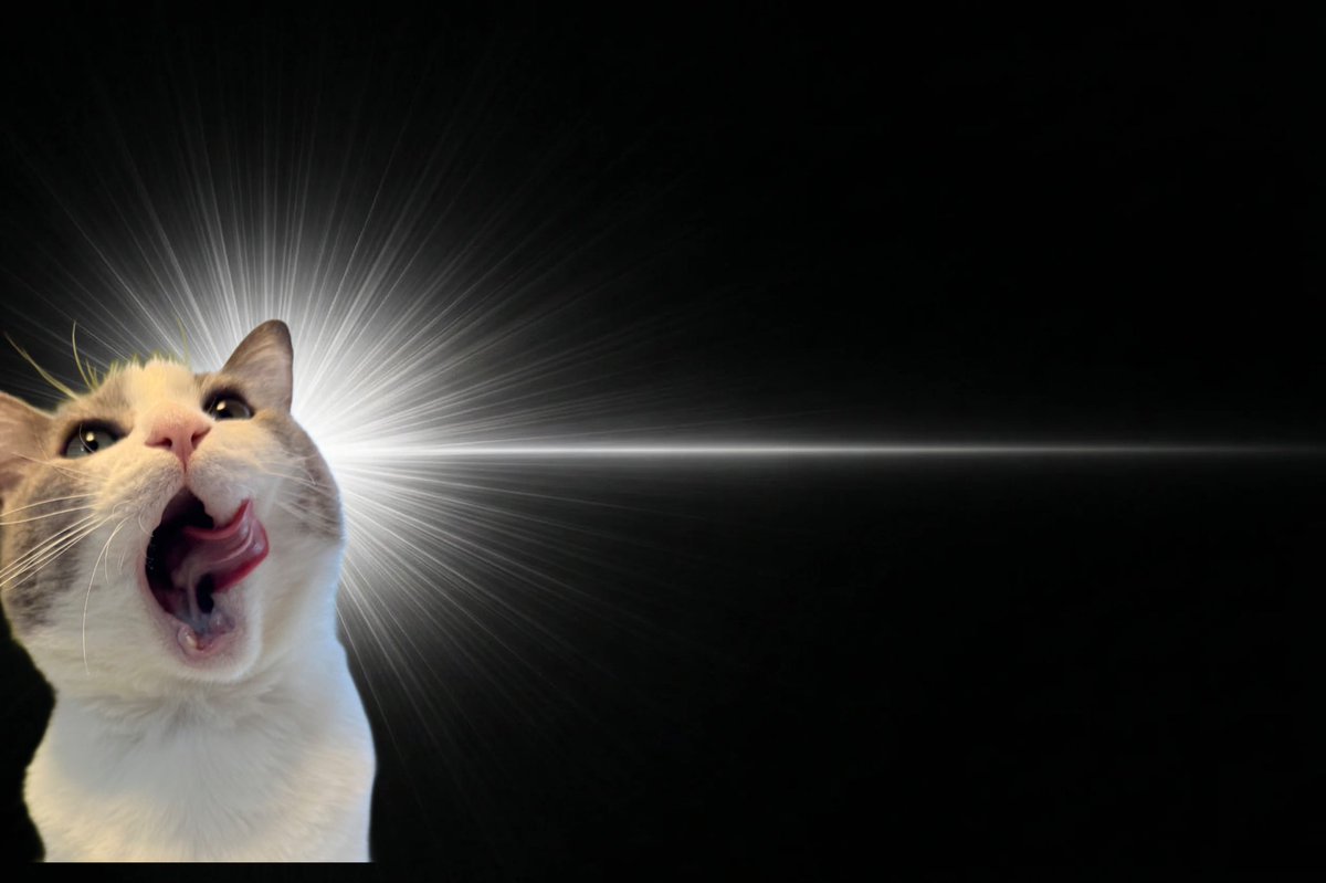 いずもん/まろ様＊mfmf tweet media