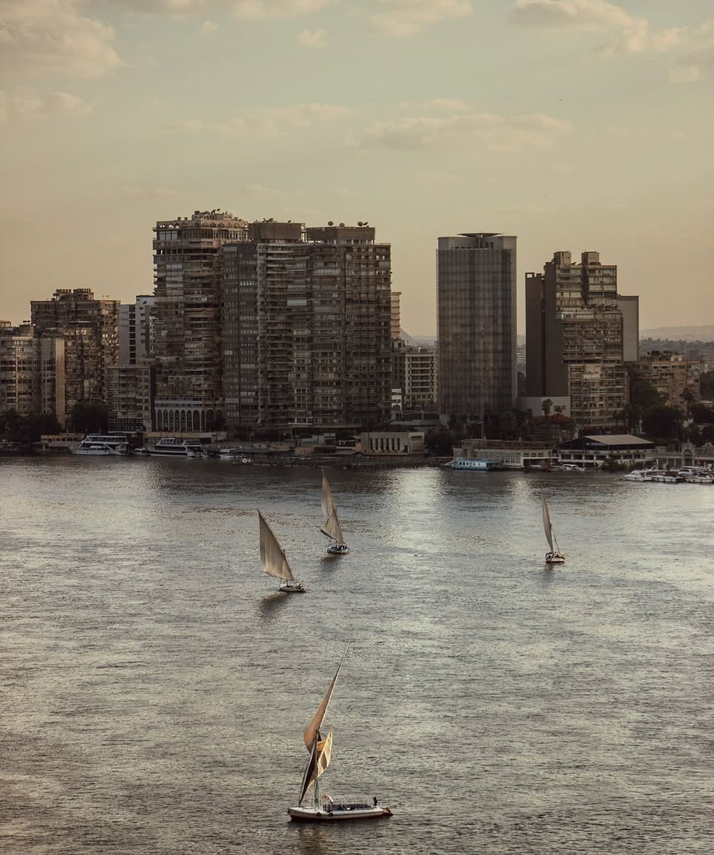 مصطفى |١٤١٧هَـ tweet media