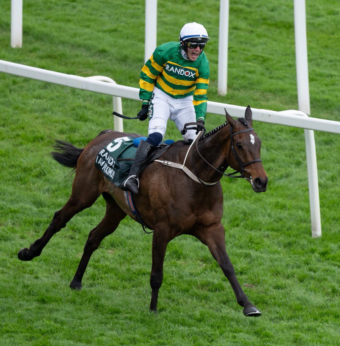 Racing Post tweet media