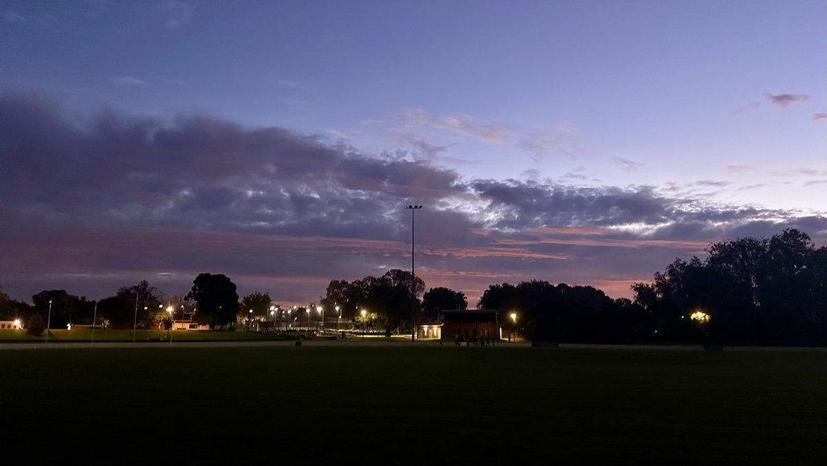 Serotonin tweet media