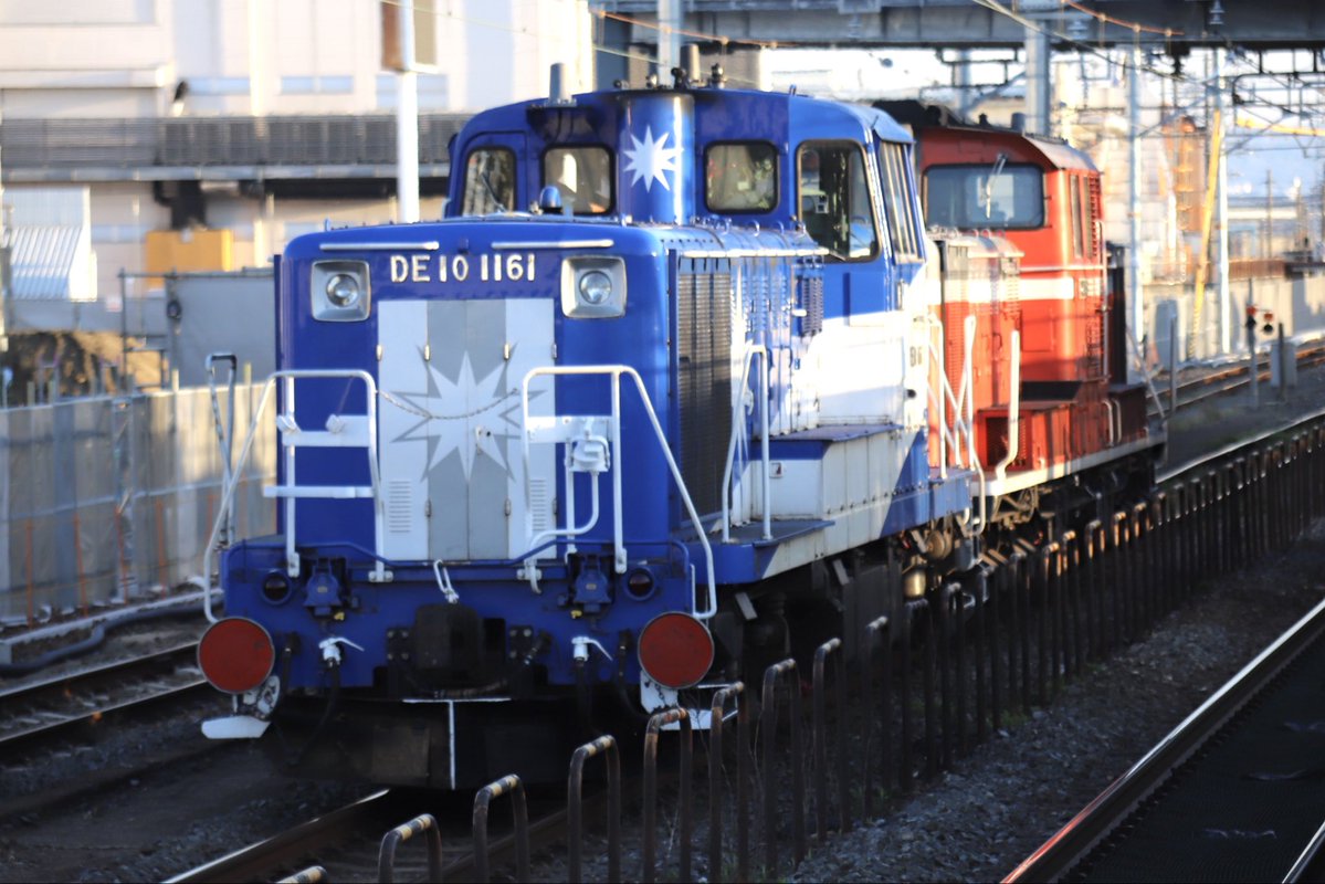 西のカモレ tweet media