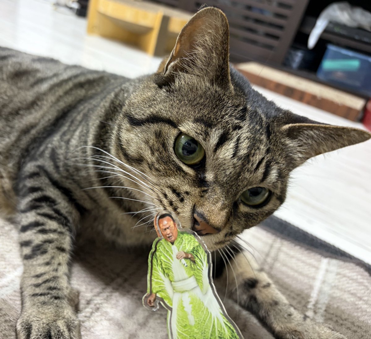 ひろみち@【6日】西１ ウ06b tweet media