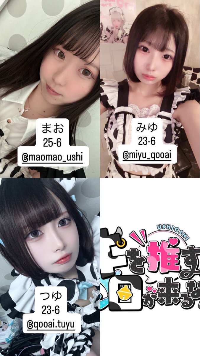 牛を推す日が来るなんて。【ミナミのコンカフェ】 tweet media