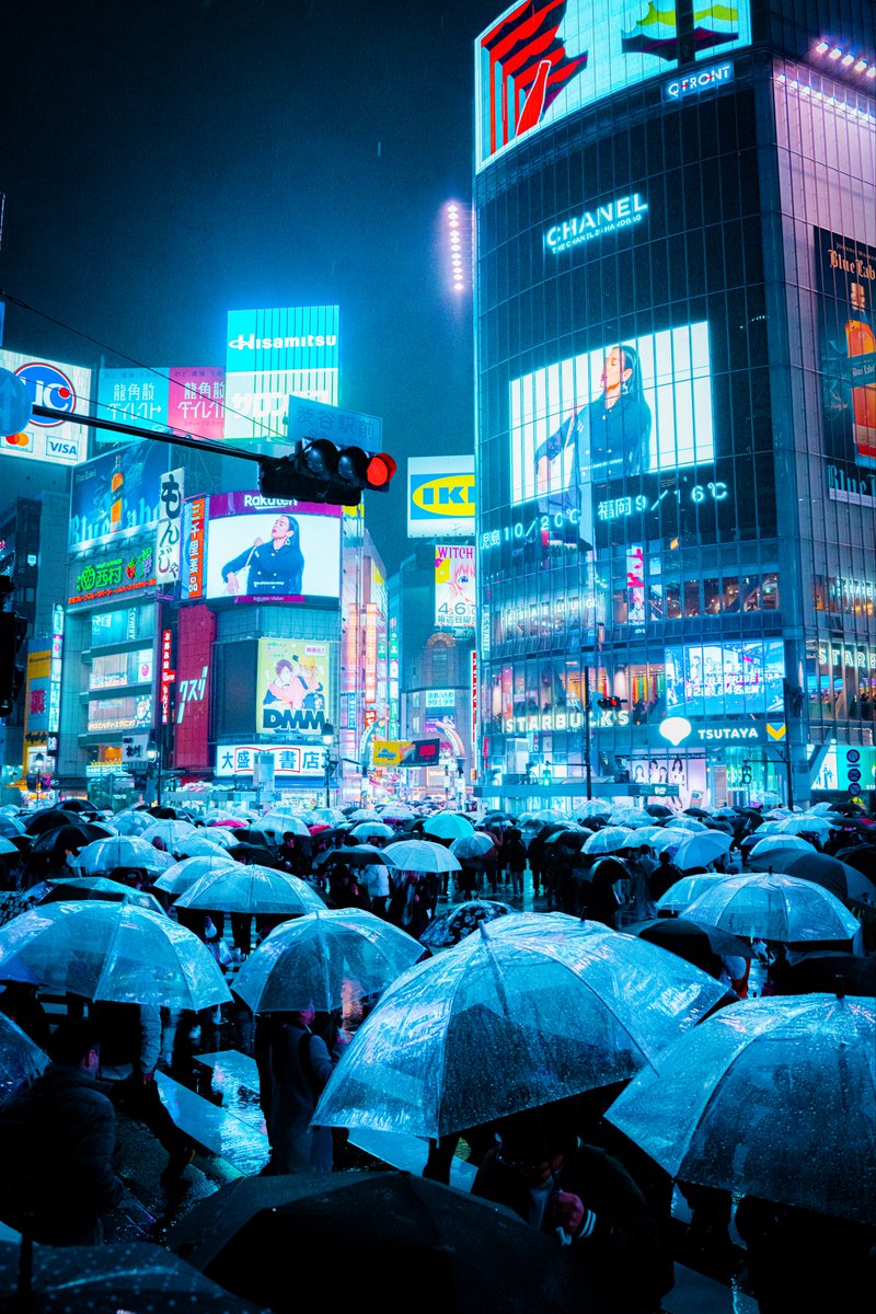 雨降る渋谷と傘の群れ