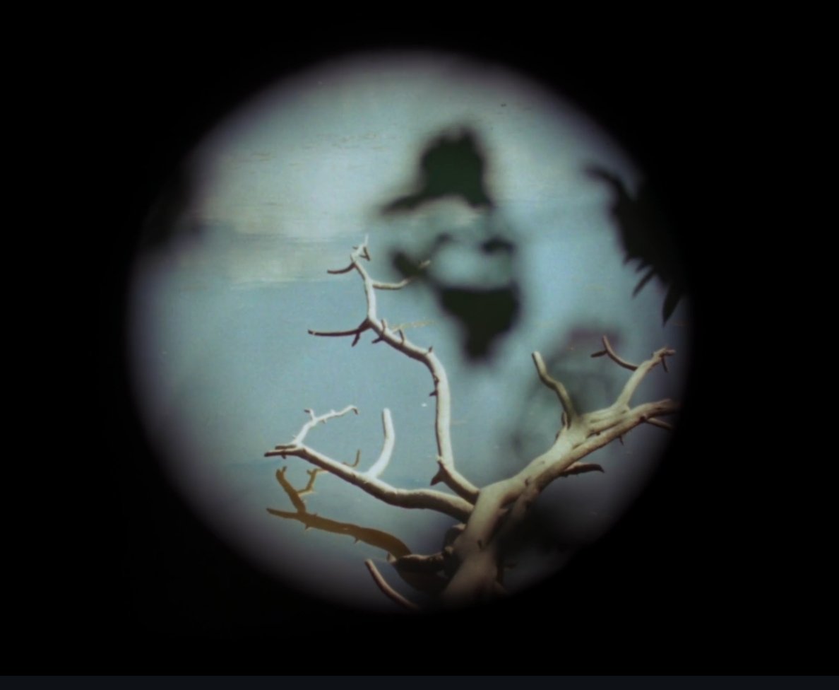 Experimental Cinema tweet media