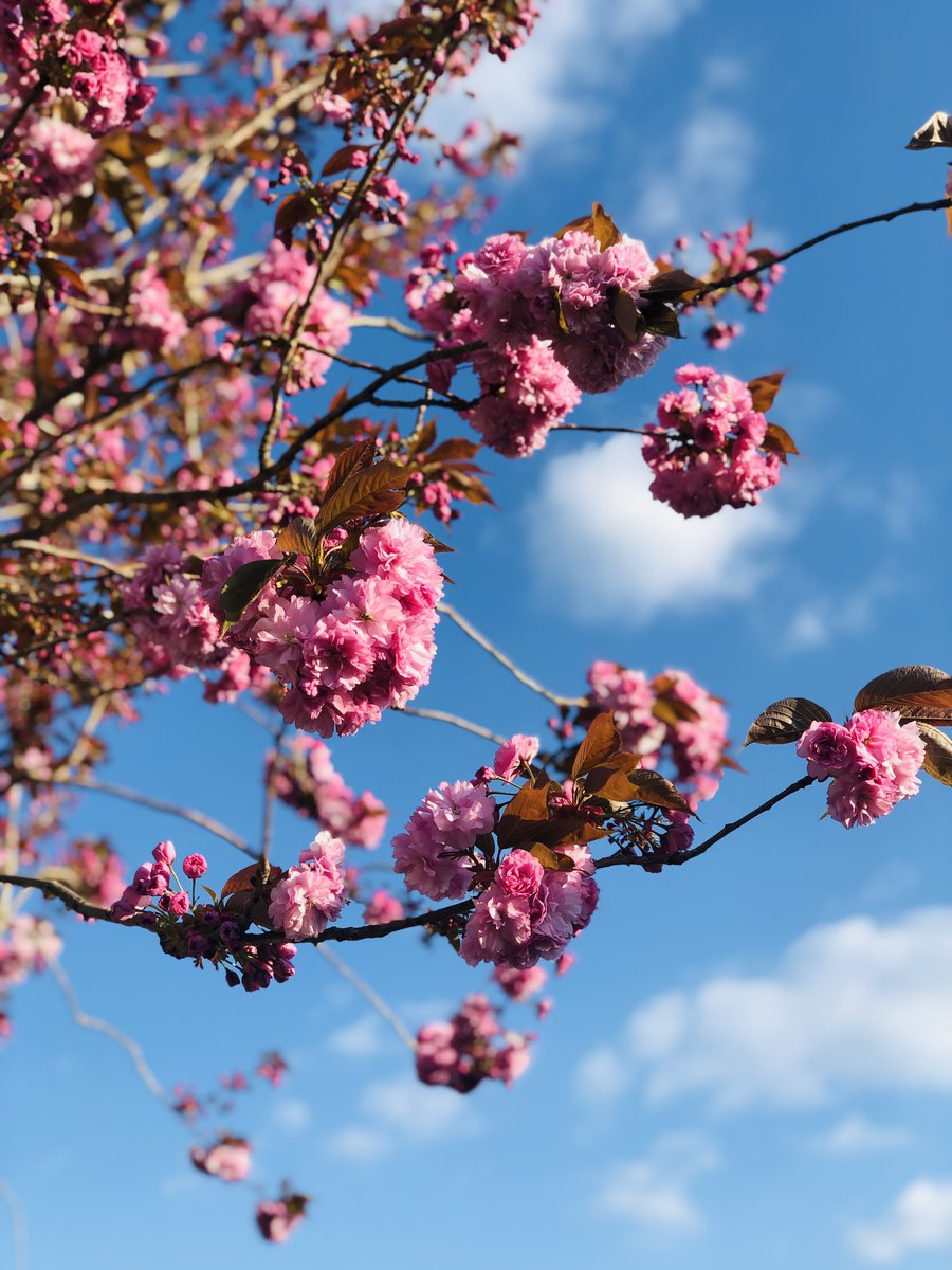 Lorraine Inglis tweet media