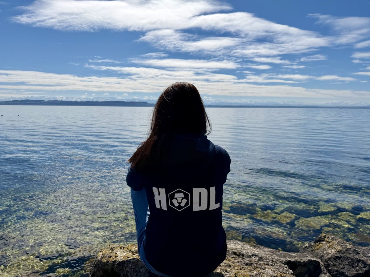 Csilla_cro's tweet image. GM ☀️

“Storms don't shake us. They remind us who we are.”

#FFTB #cryptocom #bornbrave #inevitable