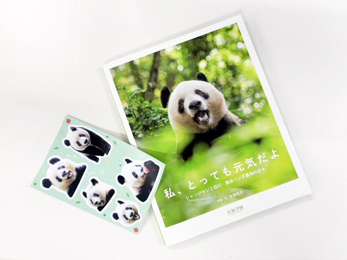 🐼先行発売中です🐼！ ／ 行知学園書店にて、写真集『私、とっても元気