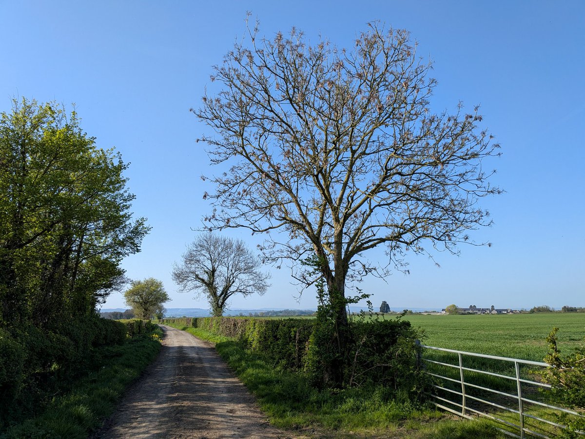 glynn_adams's tweet image. Perfect weather 👌☀️
#somerset