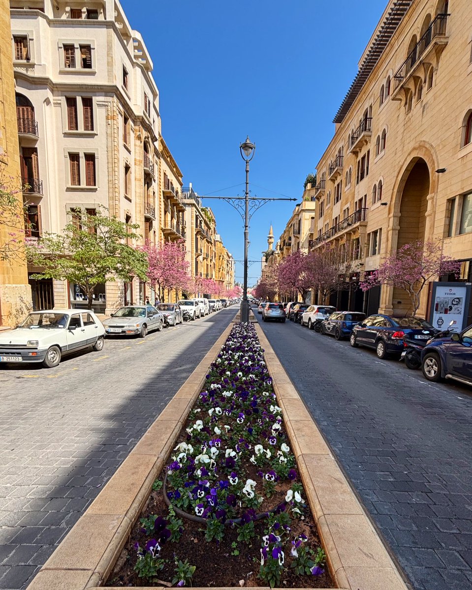 Mon Liban d’Azur tweet media