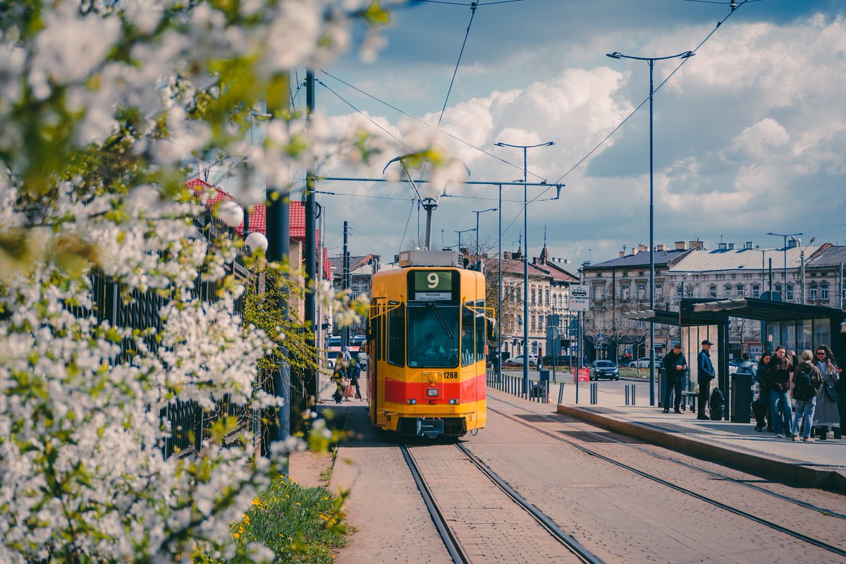 Самотній фотограф tweet media
