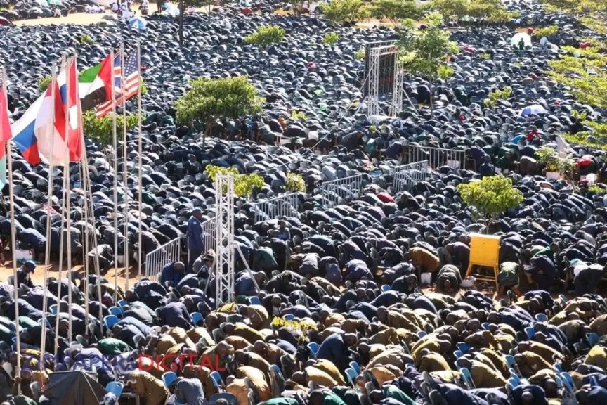 Shamase IH tweet media