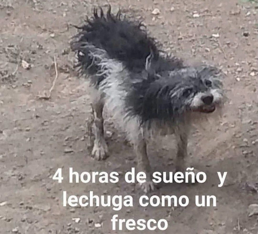 sad (@isadtuit) on Twitter photo 