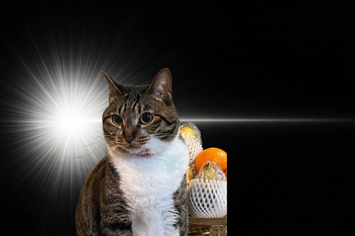 あまの tweet media